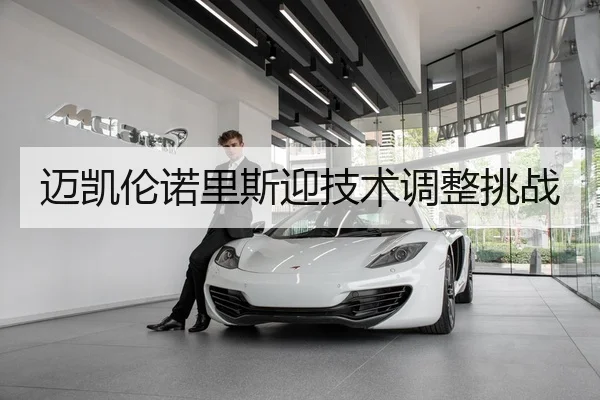迈凯伦诺里斯迎技术调整挑战
